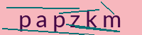 PHP Captcha für Piwigo