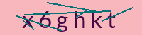 PHP Captcha für Piwigo