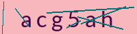 PHP Captcha für Piwigo
