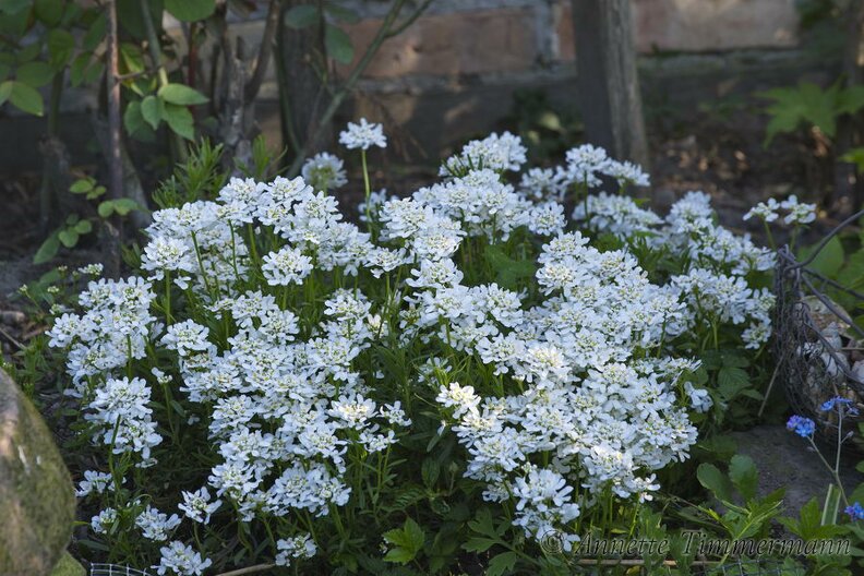 7H796S.jpg