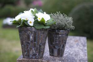 Decorate a planter with mosaic stones