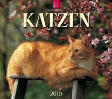 Katzen_2010_Stuertz